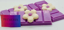 Load image into Gallery viewer, SOY WAX MELTS