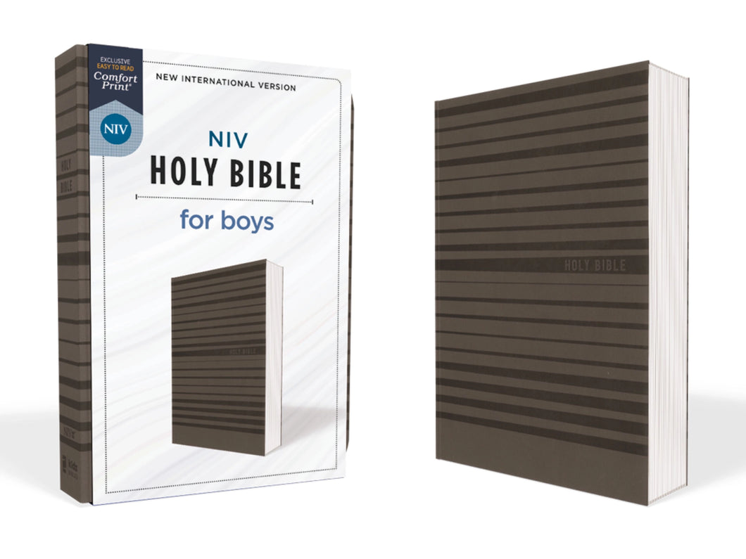 NIV BIBLE FOR BOYS