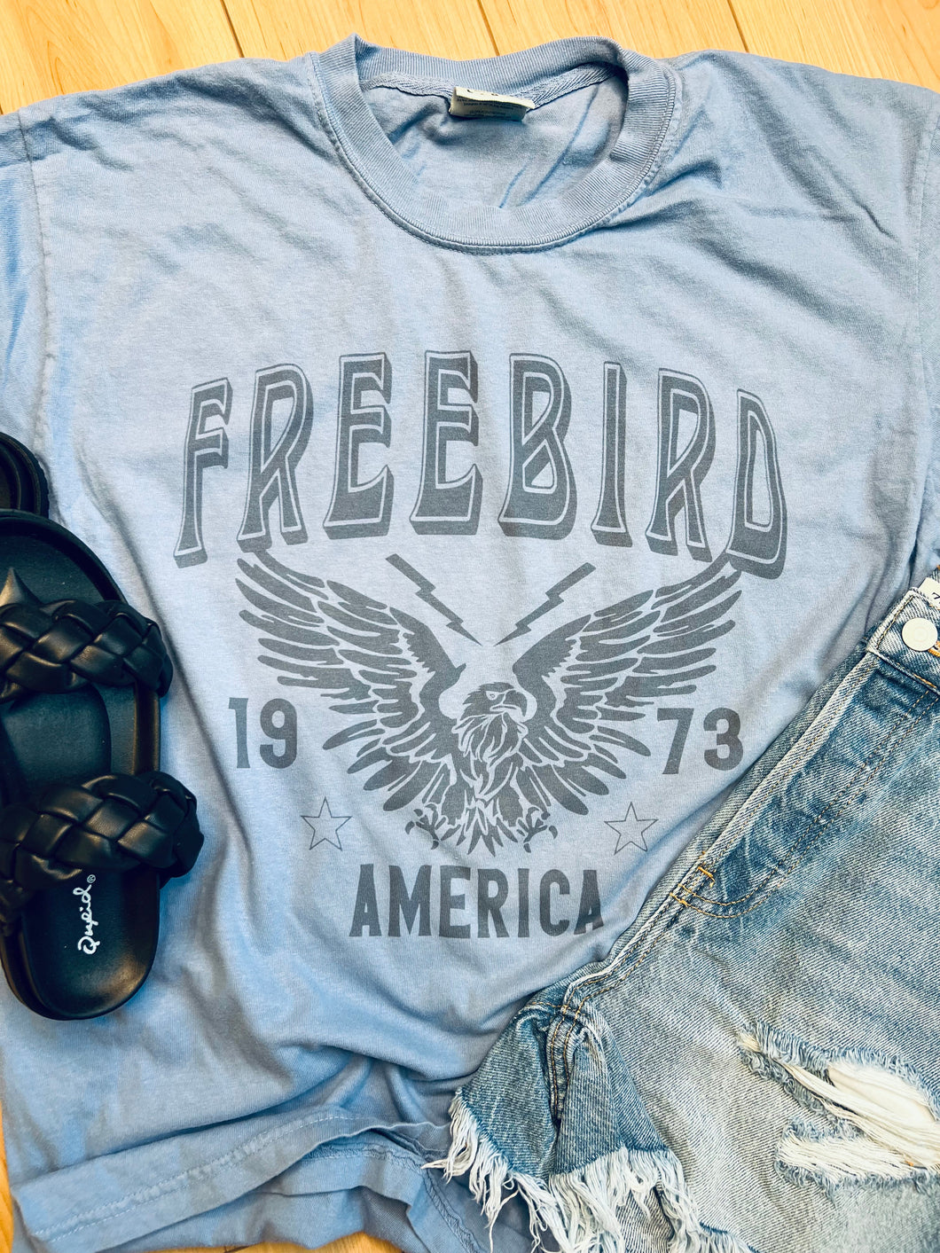 FREEBIRD AMERICA GRAPHIC TEE